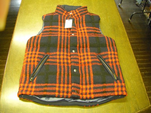 DOWN VEST/\36000///