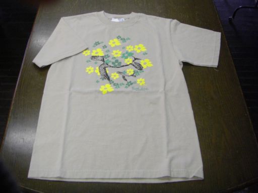 HAWAI TEE/USA/WHT  GRY/\4900